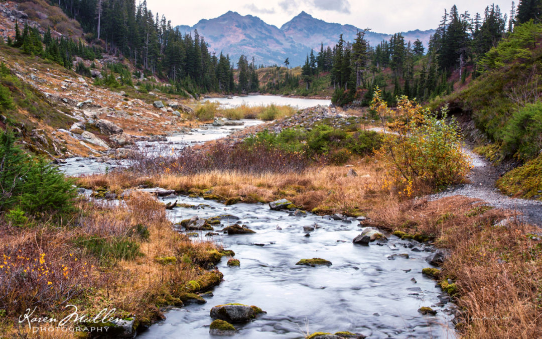 Discover Washington State